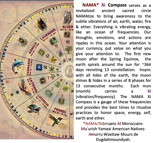 NAMA Xi Compass